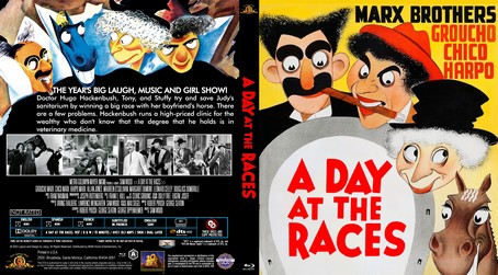 A Day at the Races 1937
