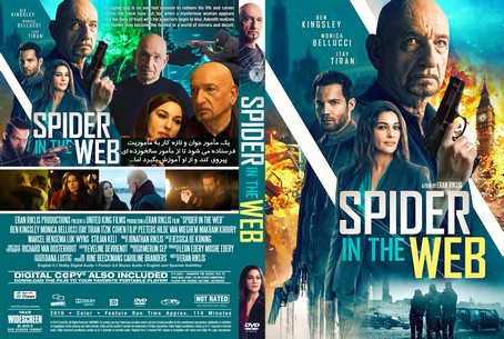 Spider in the Web 2019