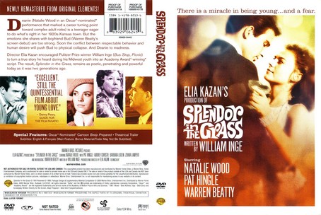 Splendor in the Grass 1961