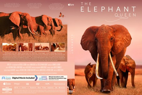The Elephant Queen 2018