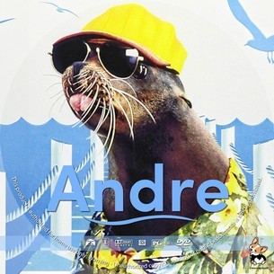 Andre 1994