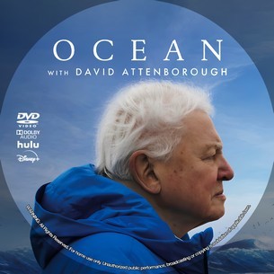 David Attenborough Ocean 2025