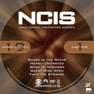 NCIS Season 19