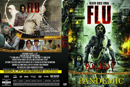 Flu 2013
