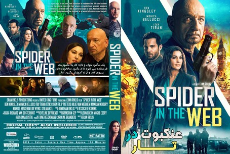 Spider in the Web 2019