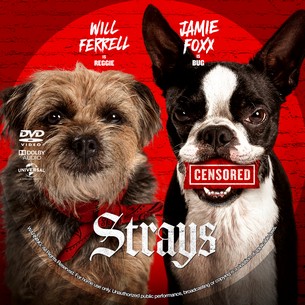 Strays 2023