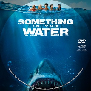 Something in the Water 2024