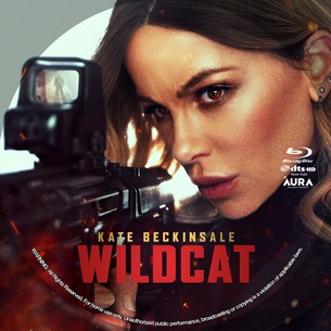 Wildcat 2025