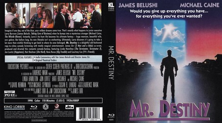 Mr. Destiny 1990