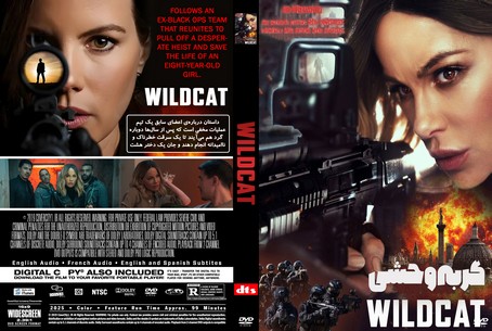 Wildcat 2025