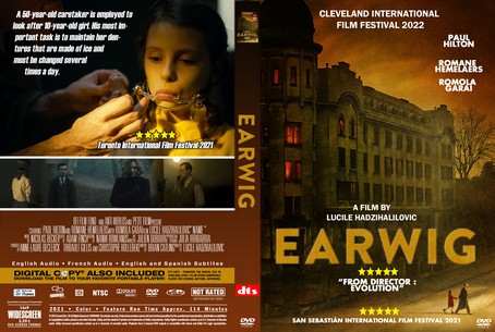 Earwig 2021