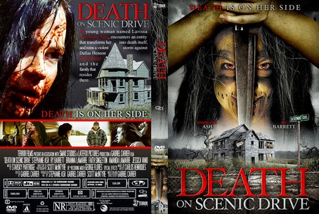 Death On Scenic Drive 2017