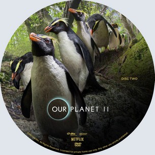 Our Planet II 2023