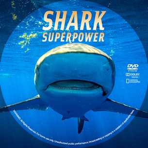 Shark Superpower 2022