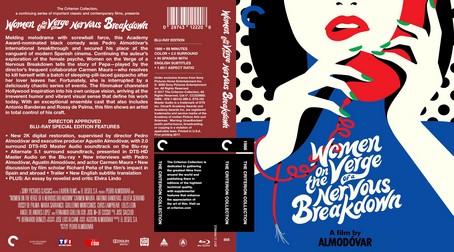Women on the Verge of a Nervous Breakdown 1988