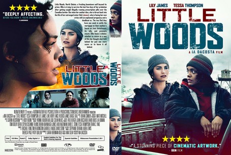 Little Woods 2018