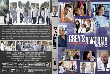 Grey's Anatomy Season 6