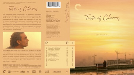 Taste of Cherry 1997