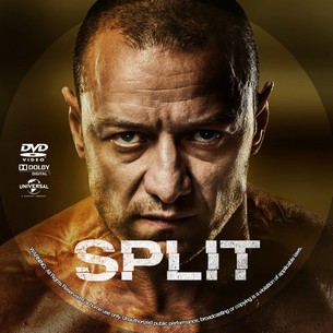 Split 2016