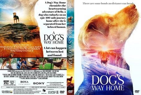 A Dog's Way Home