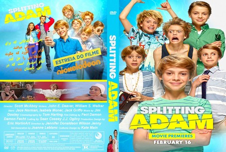 Splitting Adam 2015
