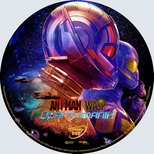 Ant Man and the Wasp Quantumania 2022