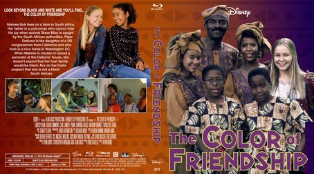 The Color of Friendship Season 1