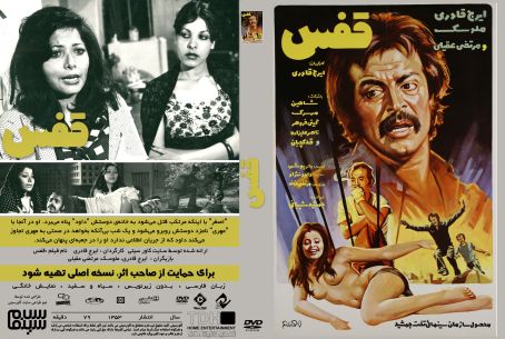 قفس 1353