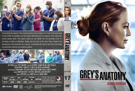 Grey's Anatomy Season 17