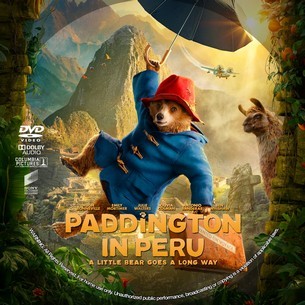 Paddington in Peru 2024