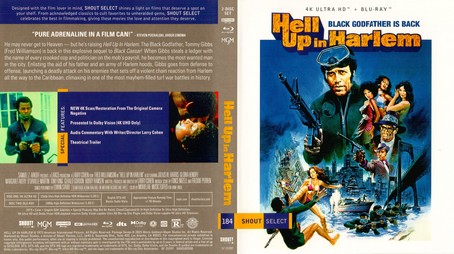 Hell Up in Harlem 1973
