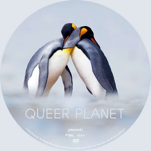 Queer Planet 2024