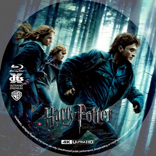 Harry Potter and the Deathly Hallows Part 1 2010