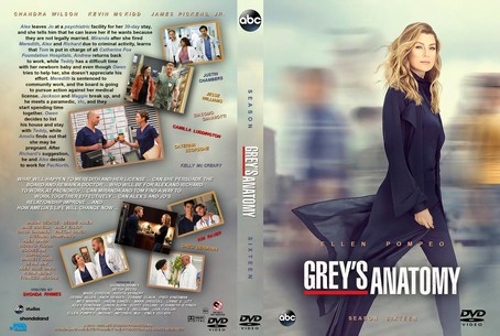 Greys Anatomy Season 16