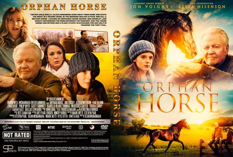 Orphan Horse 2018