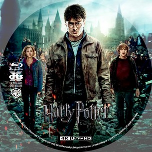 Harry Potter and the Deathly Hallows Part 2 2011