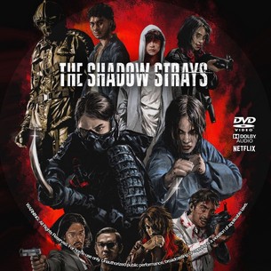 The Shadow Strays 2024