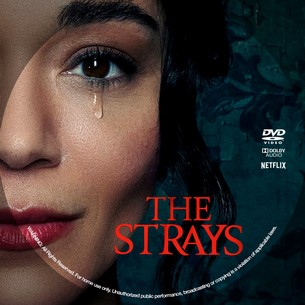 The Strays 2023