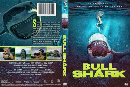 Bull Shark 2022