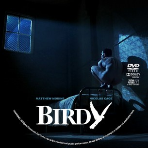 Birdy 1984