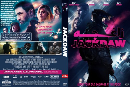 Jackdaw 2023