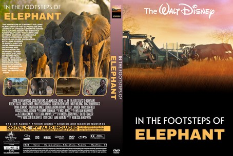 In the Footsteps of Elephant 2020