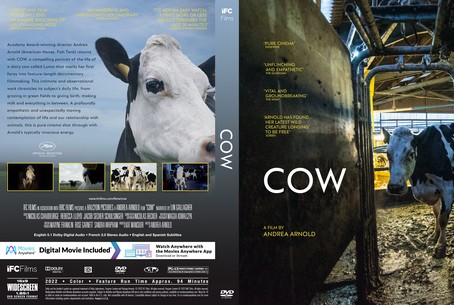 The Cow 2022