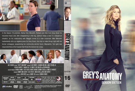 Grey's Anatomy Season 16