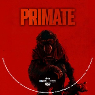 Primate 2026