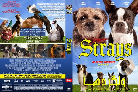 Strays 2023