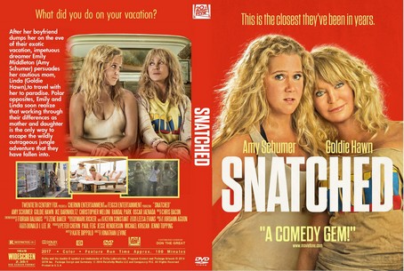 Snatched 2017