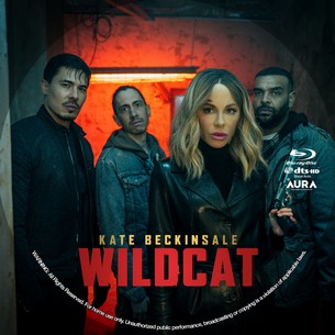 Wildcat 2025