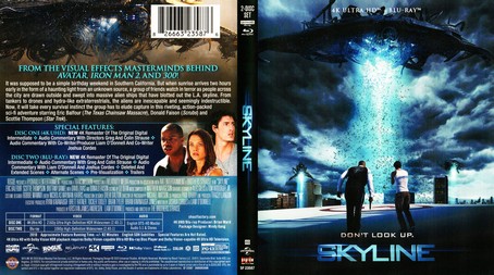 Skyline 2010