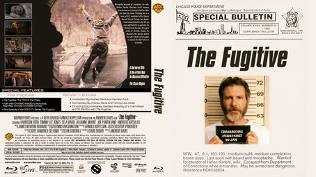 The Fugitive 1993